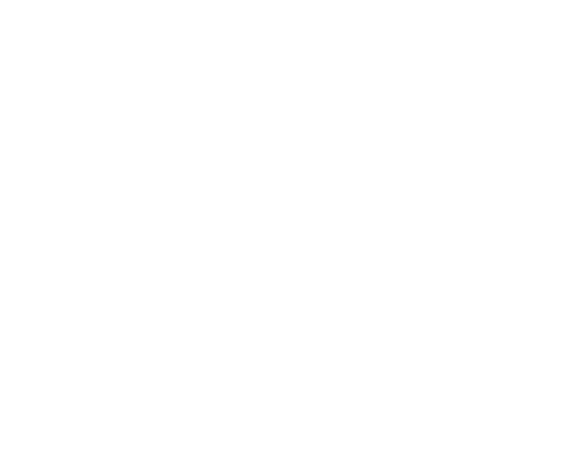 3372_logo-armanini.png